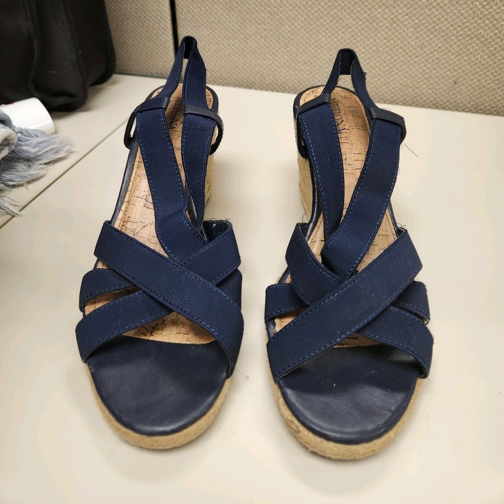 blue wedges